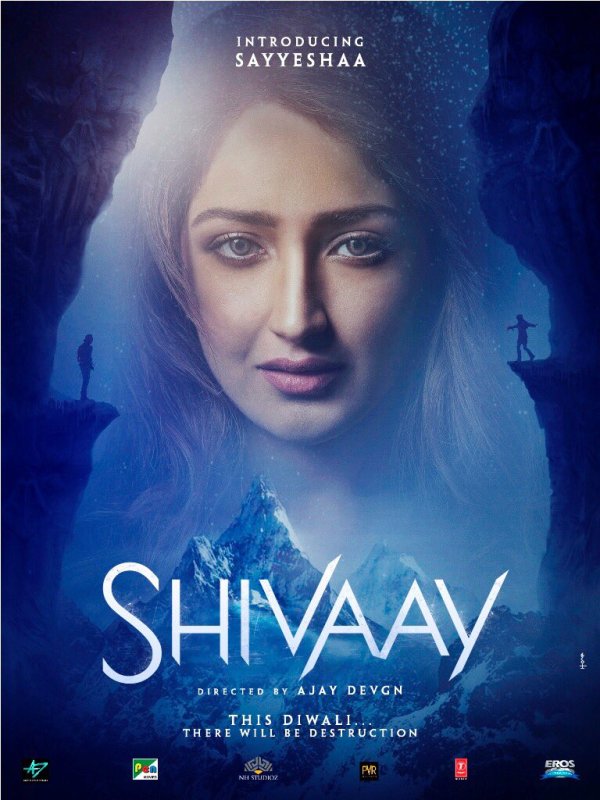 sayyeshaa_shivaay