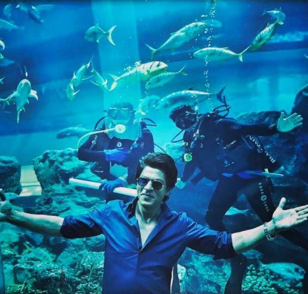 srk_dubaitourism